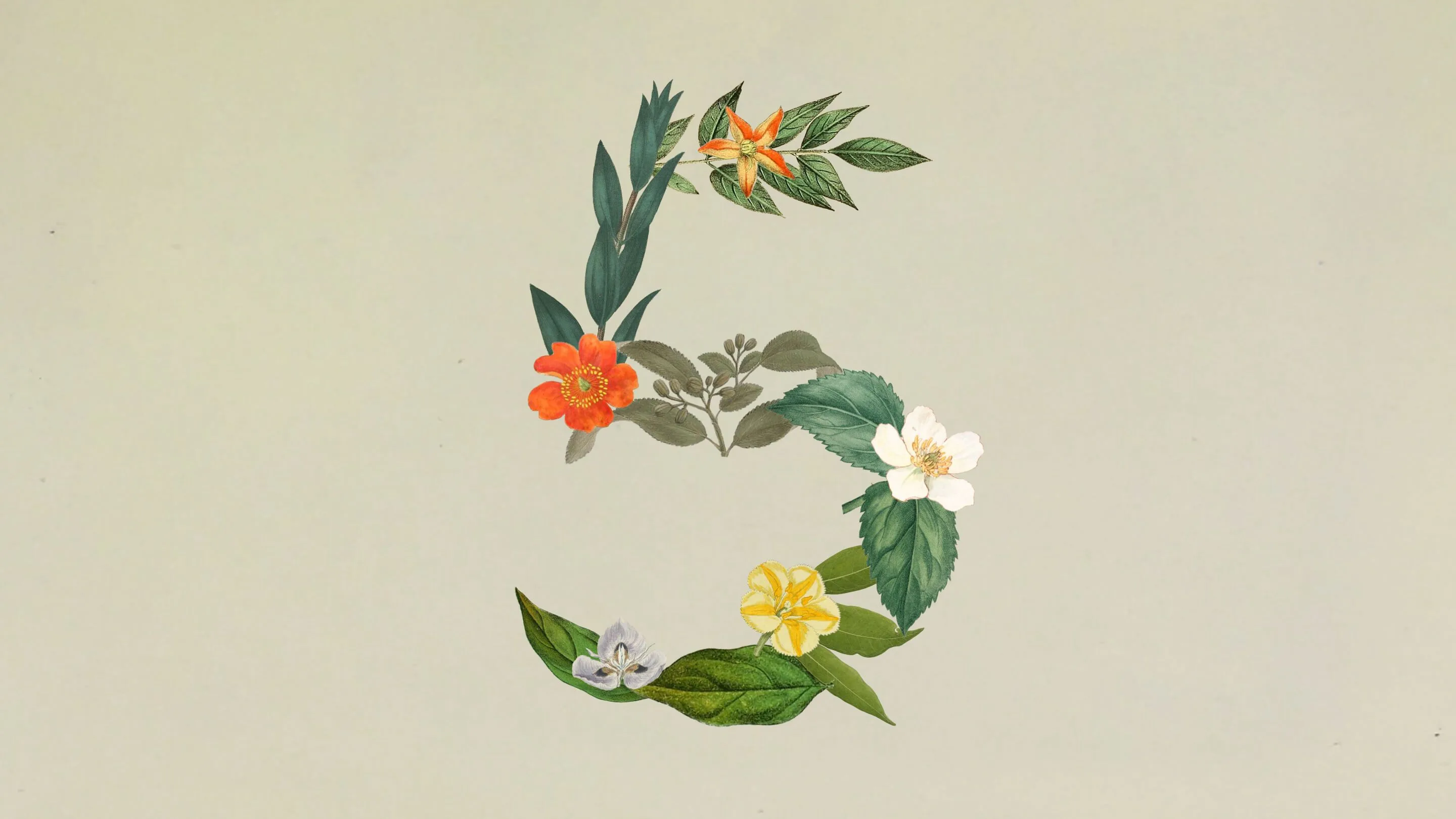 Flowers and leaves arranged into the number five.